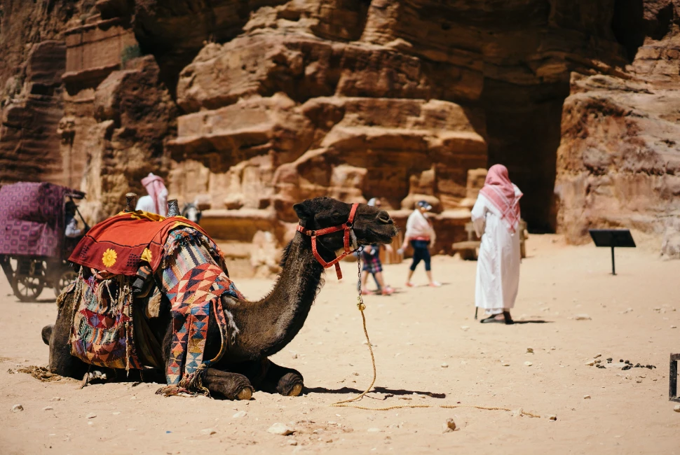 Celebrate in Style: Events and Festivals in Nuweiba That You Shouldn't Miss